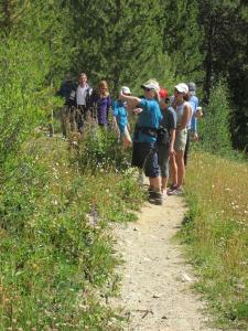 Hiking & Walking Tours in Estes Park